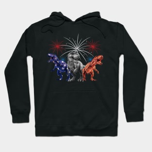 Red White Blue T Rex Dinosaur Firework 4th Of July Hoodie